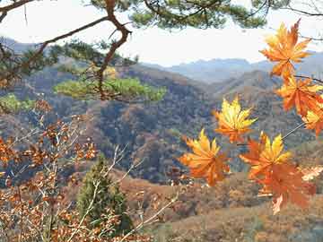 廊坊打胎药流好痛（打胎药流疼么）